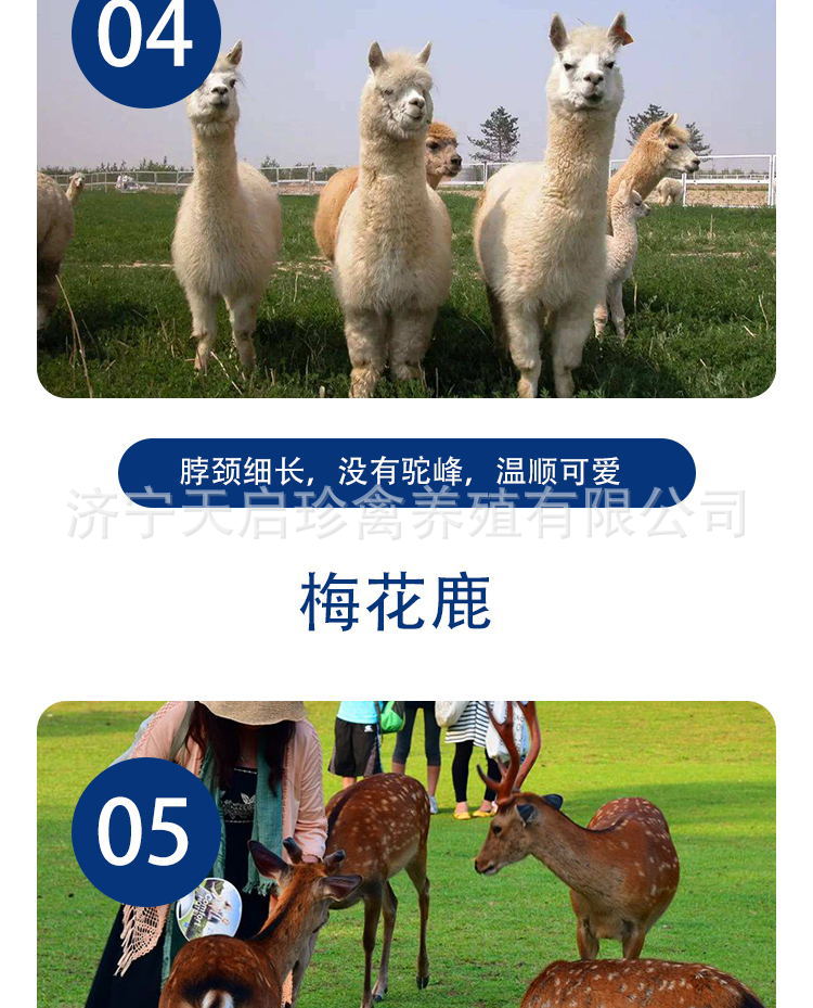 6bc63aaa96021d32a5de22a15ede70