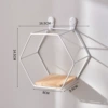 Single hexagon 1-white