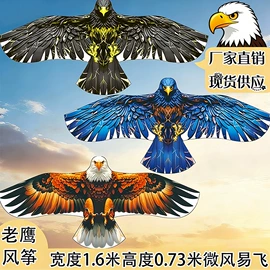 风筝;其他运动休闲