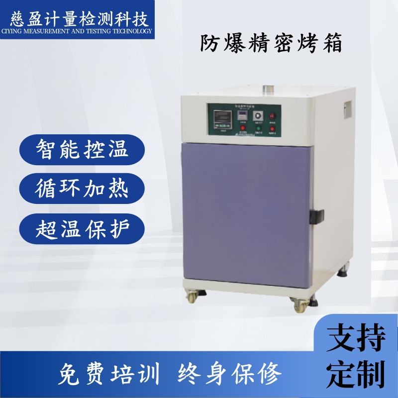 300℃不锈钢高温多功能干燥设备试验箱实验室设备高温烘干箱