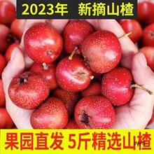 ���rɽ髹�5���rɽ髴��ɽ��t��ɽ��r�����Ǻ��J���ü�ɽ�