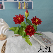 ����ɻ��ٻ�7ɫ����˯ɏɏ���廨���~���b��𻨻܁��R�d����