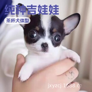 ���l�����޼��N������Ȯ���w�����豭Ȯ��HȮС�͌������pȮ����