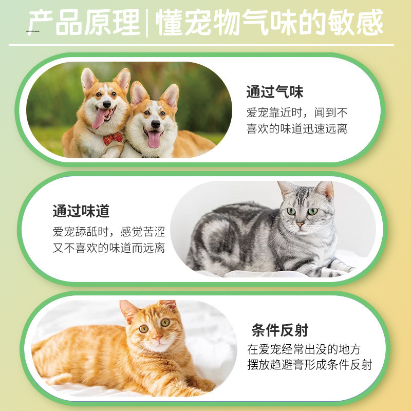 猫を走らせて犬に行きます。ペットがベッドに入るのを防止します。|undefined