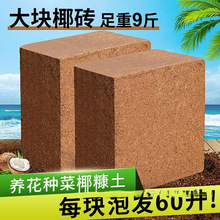 Ҭ�u�I�B���N��ͨ����Ó�}Ҭ����KҮ�u�����������B�������Nֲ��