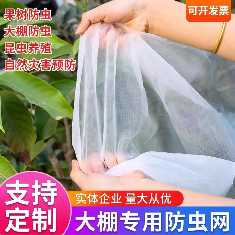 Insect-Proof Net Window Screen Net Anti-Mosquito Fly Greenhouse Fruit Tree Agricultural Yard Breeding Farm Anti-Mosquito Net Window Net Encryption