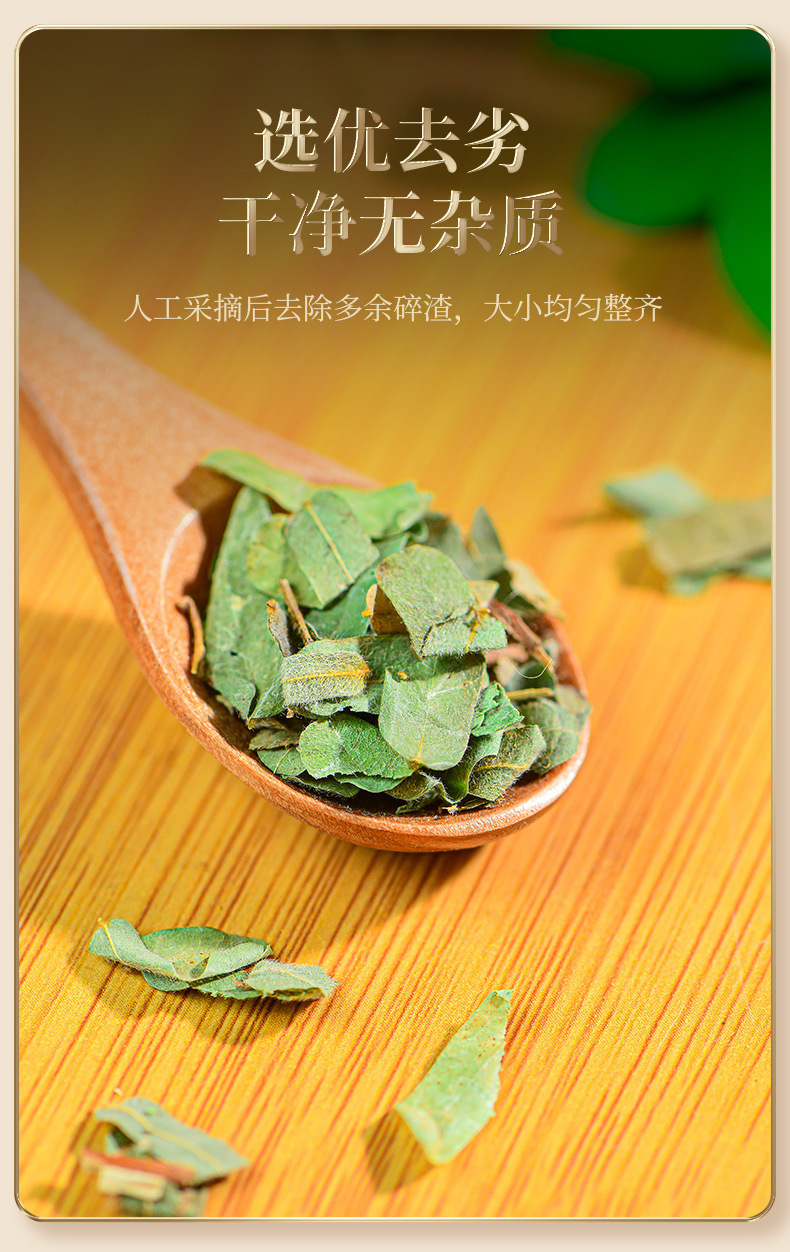 Ji Gu Cao Chicken Bone Herb Dried Whole Herb 50g Canister Traditional Chinese Herbal Tea Ingredient in use