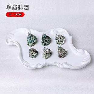 ���X�R����Ȼ����ؐ���˱����b[���Y���ղ؏S��Դ�^���l