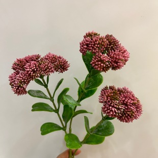 ���滨 ���й� �L֦12�~3�^���й� ���滨�ٻ��Ҿ��bzӰ��c��