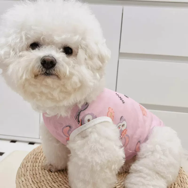 狗狗凉凉衣夏季薄款泰迪比熊小型幼犬猫咪防晒衣服背心宠物服饰