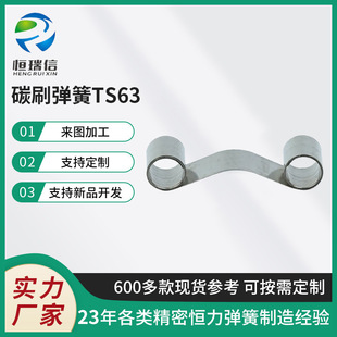 TS63̼ˢ���ɐa������ ���� ���P䓏����R�_̼ˢ�l�l���ɏS�����l