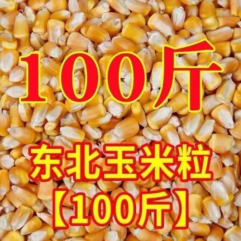 2025 зерен риса, зерен кукурузы, корм для кур, корм для голубей, гнезда для рыбы оптом