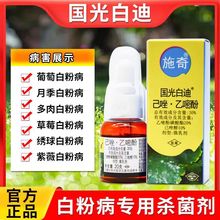 国光施奇白迪月季玫瑰蔷薇花卉多肉绣球白粉病专用增强型杀菌剂