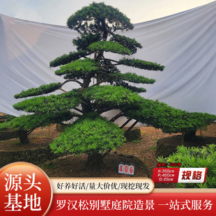 �_�h���Ϙ�ͥԺ��ľ���ù����@�ֹ��̾G�����������е�����������