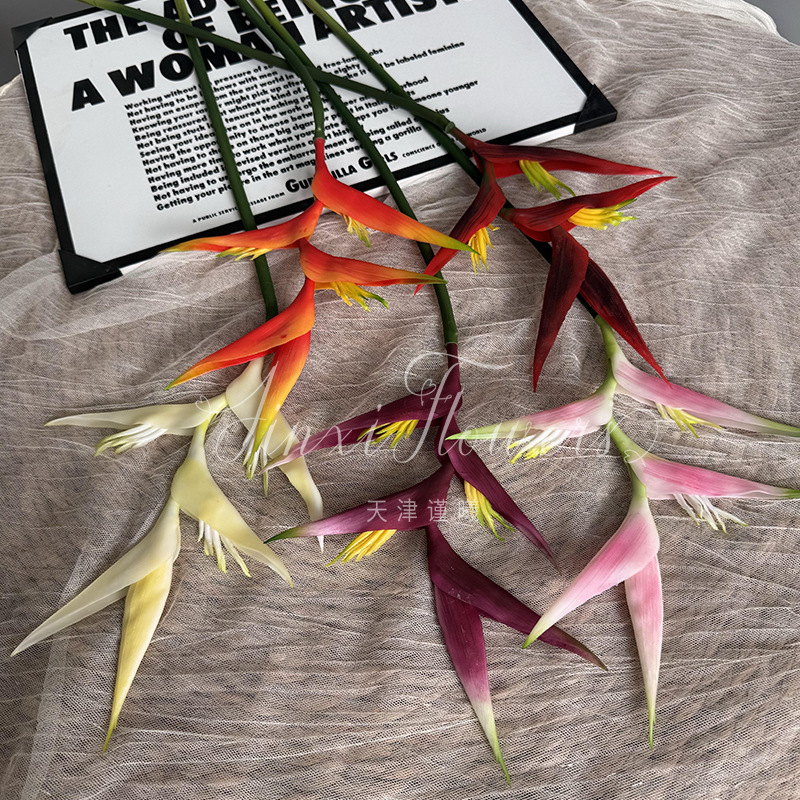 鹤尾蕉植物小孔雀餐桌插花摆设 家具装饰塑料花假花拍摄道具