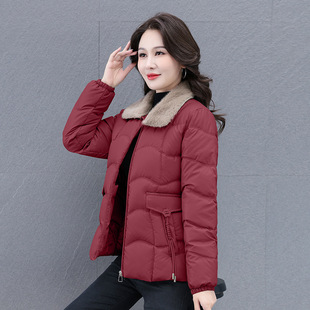 �r�б�ůŮʿ�A�޼Ӻ�ë�I�̿�����2025�r�����I�޷�������ů��