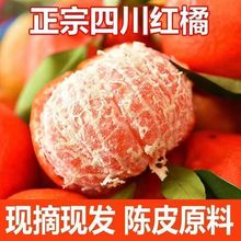 四川红皮蜜橘薄皮桔子陈皮原料现摘现发古红桔有籽新鲜柑桔橘水果