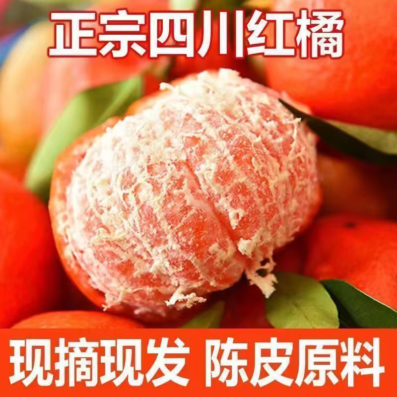 四川红皮蜜橘薄皮桔子陈皮原料现摘现发古红桔有籽新鲜柑桔橘水果