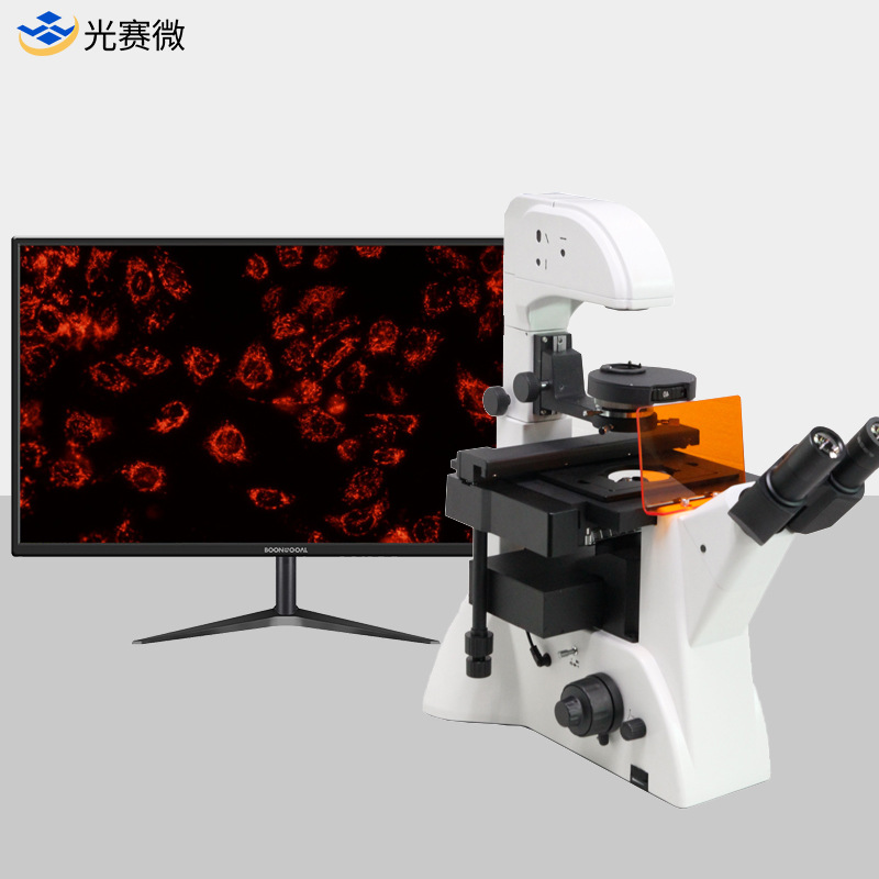 倒置荧光生物显微镜 研究级三目双目电脑型放大镜医用科研细胞检