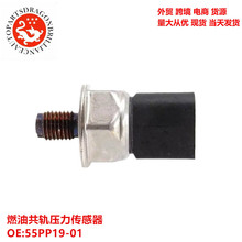 ��ó�������ȼ�͹���ѹ��������55PP19-01 5WS40029 55PP07-01