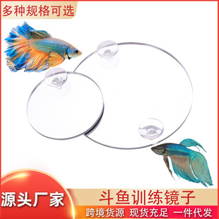 Dou Training Mirror Acrylic Fish Tank Double-Sided Mirror Thunder Dragon Rohan Fish Floating Ball Tank Outside Funk Mirror