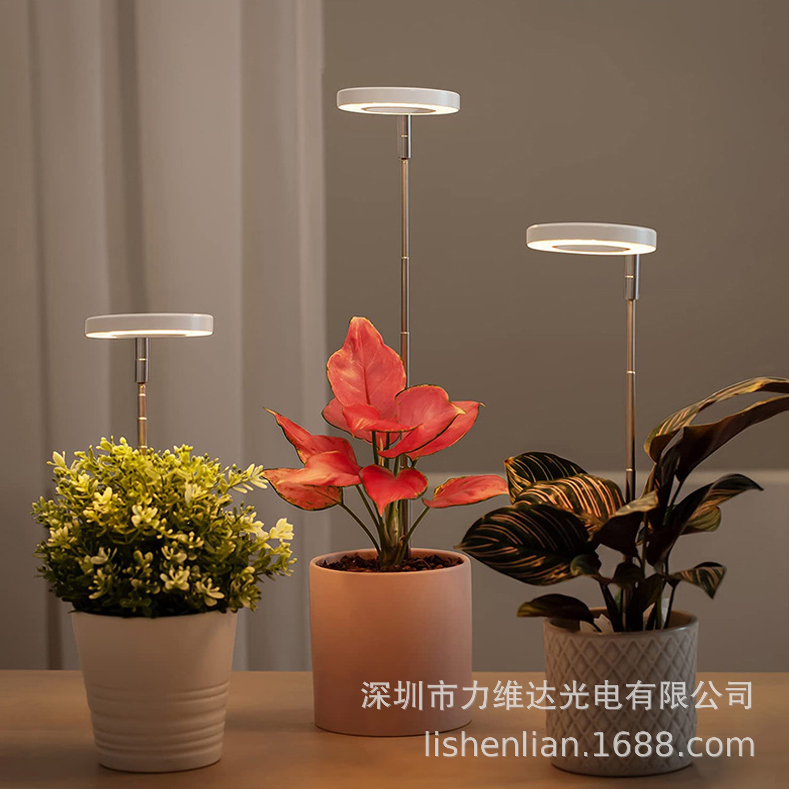 liweida 羳ȫʹԲUSBʱLED⻨ֲ