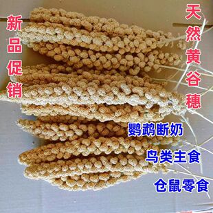 �W�^���뎧���S����С�����P��Ƥ����B�Z�Bʳ���B�����B��ʳ����