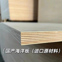 E0级4-40mm桦木海洋板板实木多层板家具胶合板整张批发供应包邮