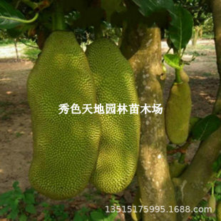 ���}�ۘ����޽ӹ�������ļ�ˮ�����҃���ͥԺ���ԷN���ͺ���ɏ