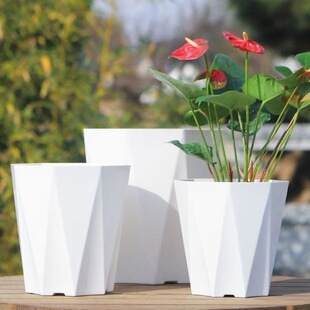 ��֬�������ϸ��FҬ�Ӵ�̖�Ӻ��п׻��������B�G�}�����бP����}