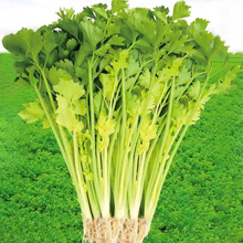 uSˮ۲˷NӴoļr۲˷NͥԺ߲