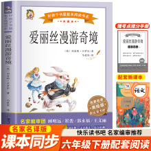 爱丽丝漫游奇境记梦游仙境外国儿童文学经典世界名著故事书青少年