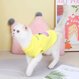 Pet clothing cat clothes autumn and winter clothing new cat base shirt pet legs fleece 22 pastoral base shirt