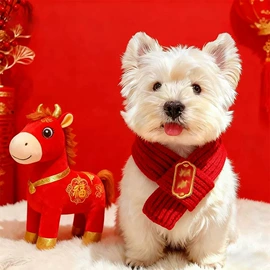 猫猫玩具;除毛用品;狗狗玩具