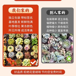 ֲwBײ;GֲM҃⻨СԺl