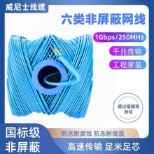 Cat6������ξW��UTP22-30AWG�o���~PE�^��ʮ�ֹǼ�PVC�����{ɫ