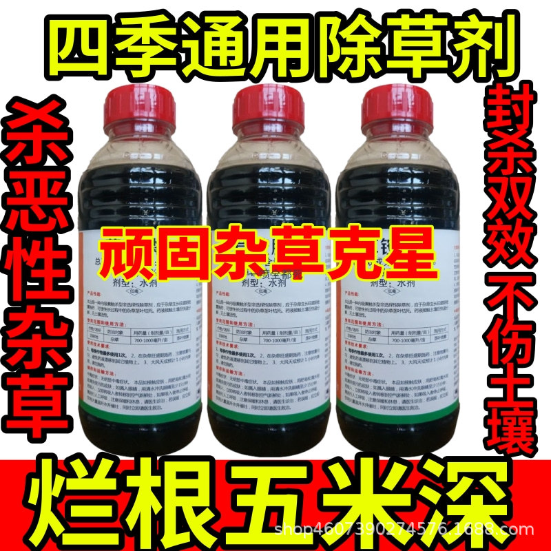四季通用除草剂精草铵膦铵盐除草草安草铵磷草胺磷除牛筋草小飞蓬