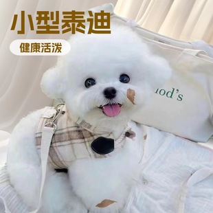 ����С���F�eȮ�L����Ĳ豭Ȯ���N̩�����pȮ���w���ﹷ����HȮ