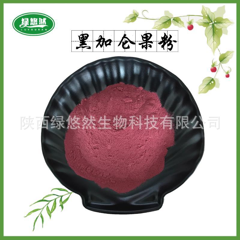 Blackcurrant fruit powder blackcurrant powder blackcurrant extract blackcurrant juice powder spray drying