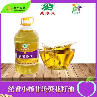 �����h�ݠ��`��������5L ������ ��������ʳ����