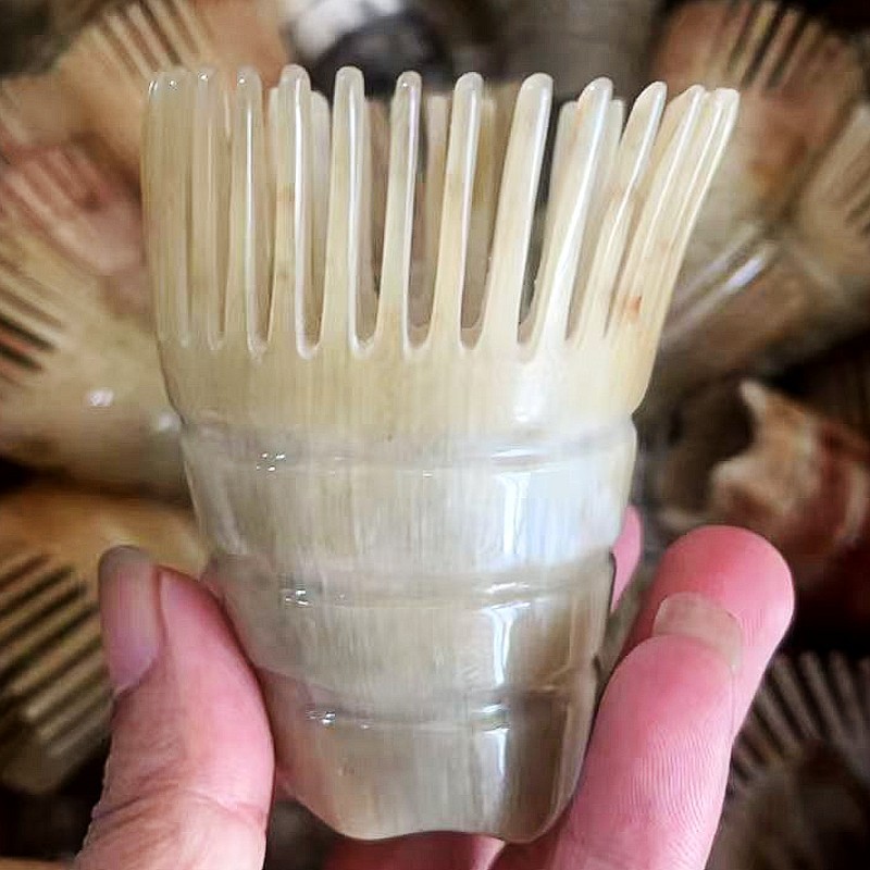 혼 소비 짧은 실린더 미세 치아-710149