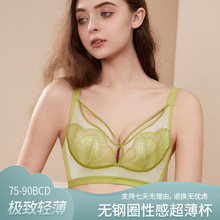 内衣女无钢圈超薄透气蕾丝性感兔耳朵杯收副乳大胸显小文胸调整型