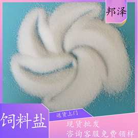 厂家现货饲料盐 95.5含量饲料盐NaCl 饲料添加剂用氯化钠饲料级