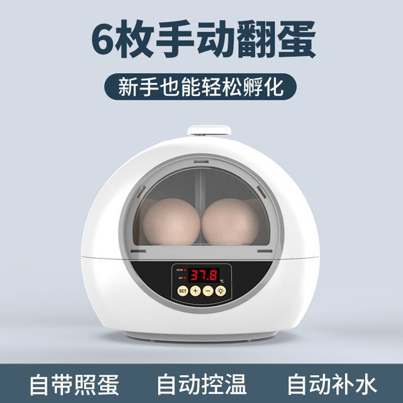 6 cápsulas espaciales - huevos volcados a mano + huevos iluminados