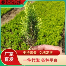 һlؘԵԞSСȰؘ繫Ĺ