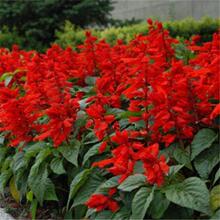 �ļ����N��ͥԺ�׻��һ���t�N�Ӱ������t�ļ��׷N�����ͺ�����