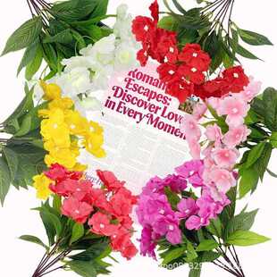 ���滨����7���P�ɻ� ���N���Ӽһ��@��Y�b��N�˷��滨���l