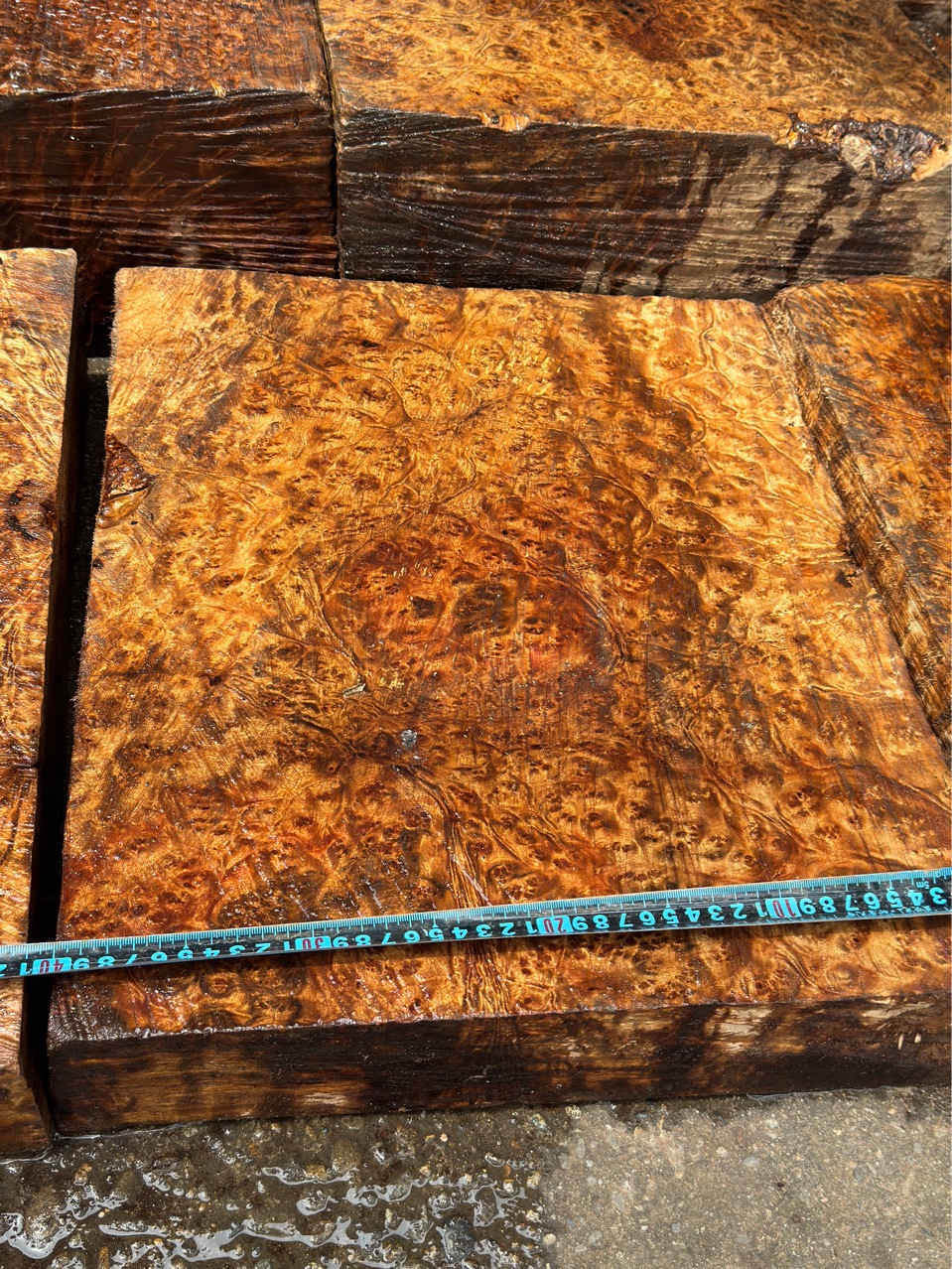 黄金樟木山香果树瘤原木板材家具大板木皮球杆6万一吨