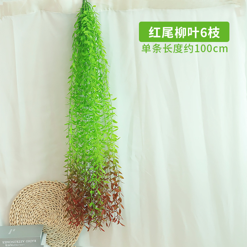 6 ramas de Sauce de cola roja