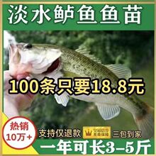 ����С�|�~������|�~�ش�ߴ�7̖���|��ں��|·��������ʳ7���|